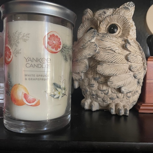 Yankee Candle Other - Yankee Candle® White Spruce & Grapefruit 20 oz. Large Tumbler Candle